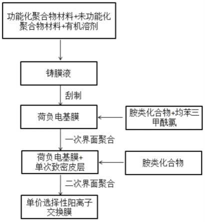 單價(jià)選擇性陽(yáng)離子交換膜及其制備方法與應用