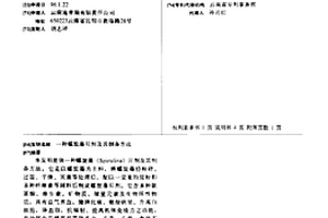 頂吹沉沒(méi)熔煉的物料入爐新工藝