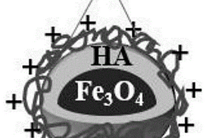 用于油水分離的Fe3O4/HA/CSMNPs及制備方法、應用