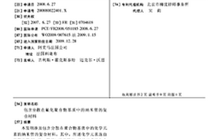 包含分散在氟化聚合物基質(zhì)中的納米管的復合材料