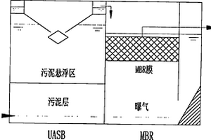 H.S.B.高效微生物技術(shù)及UASB+MBR工藝在糞便處理中的應用