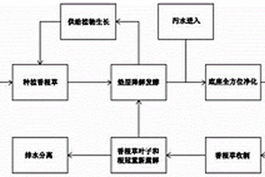 香根草污水凈化系統及其方法