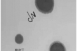 一種UV膠印油墨用顏料的評價(jià)方法