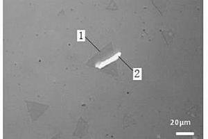 GaSe/MoS<Sub>2</Sub>異質(zhì)結的制備方法