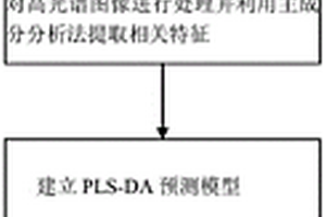 無(wú)損檢測冬蟲(chóng)夏草子座真偽的方法