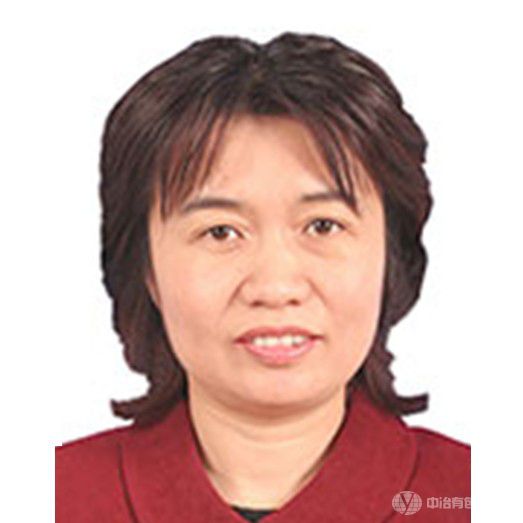黃小衛有研科技集團有限公司