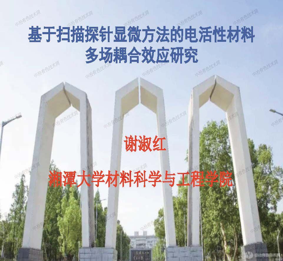 基于掃描探針顯微方法的電活性材料多場(chǎng)耦合效應研究