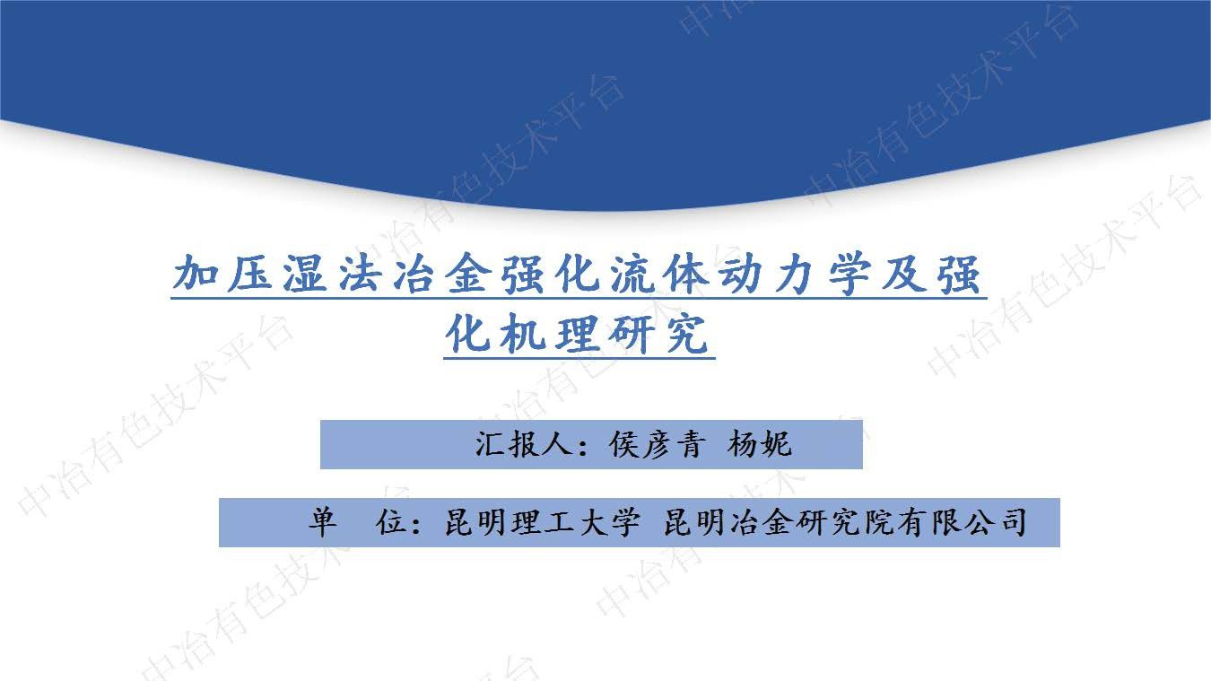 加壓濕法冶金強化流體動(dòng)力學(xué)及強化機理研究