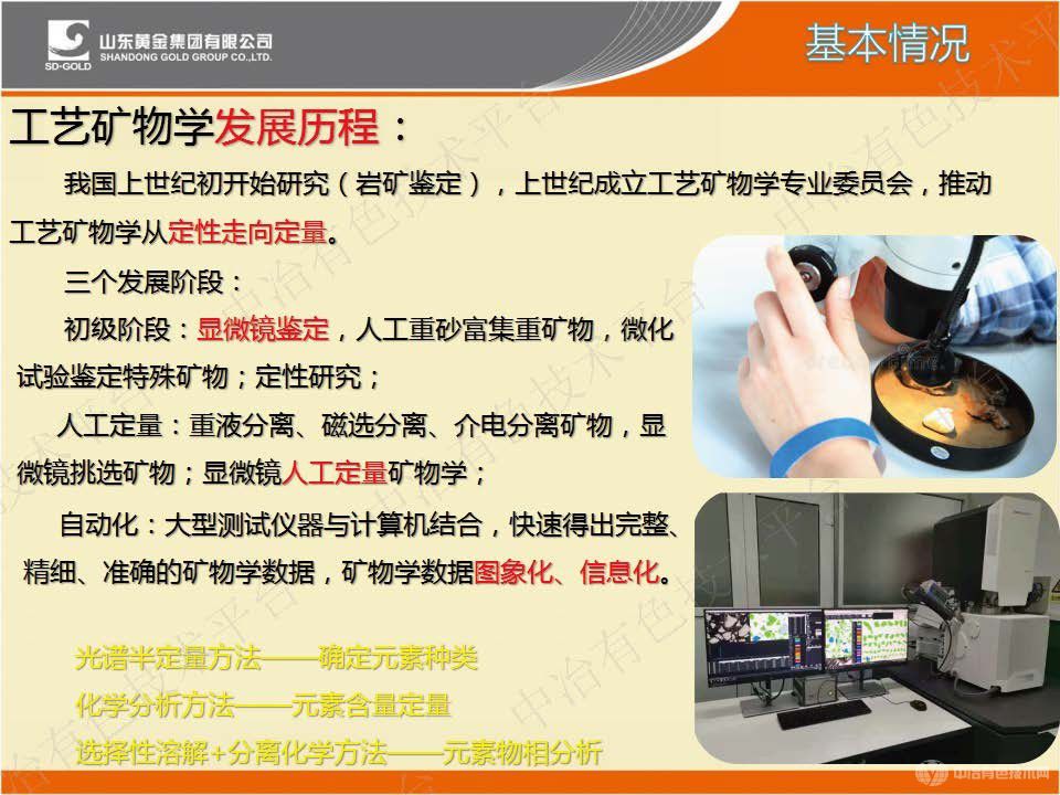 工藝礦物學(xué)在選冶過(guò)程中的研究與應用