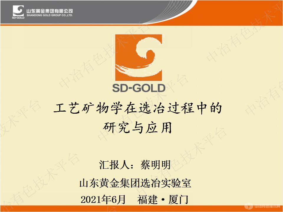 工藝礦物學(xué)在選冶過(guò)程中的研究與應用