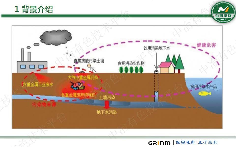 微生物法重金屬固化穩定化及生態(tài)修復技術(shù)
