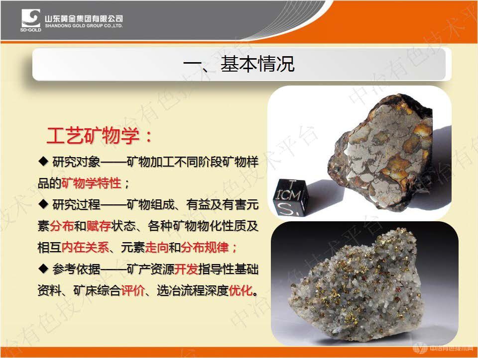 工藝礦物學(xué)在選冶過(guò)程中的研究與應用
