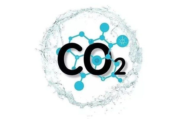 政策解讀 | 減碳背景下生物質(zhì)資源化利用的機遇與挑戰