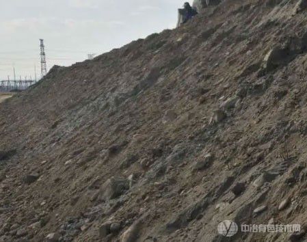 浮選難題：為什么低含量錫石尾礦的精礦品位難以提高？