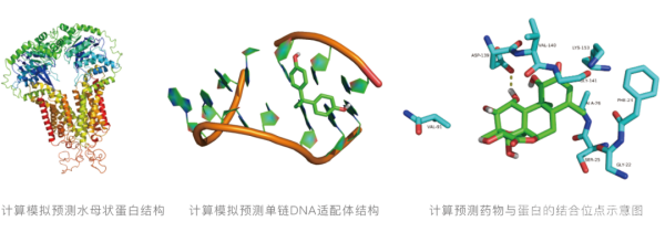 生物醫藥方向的微觀(guān)模擬