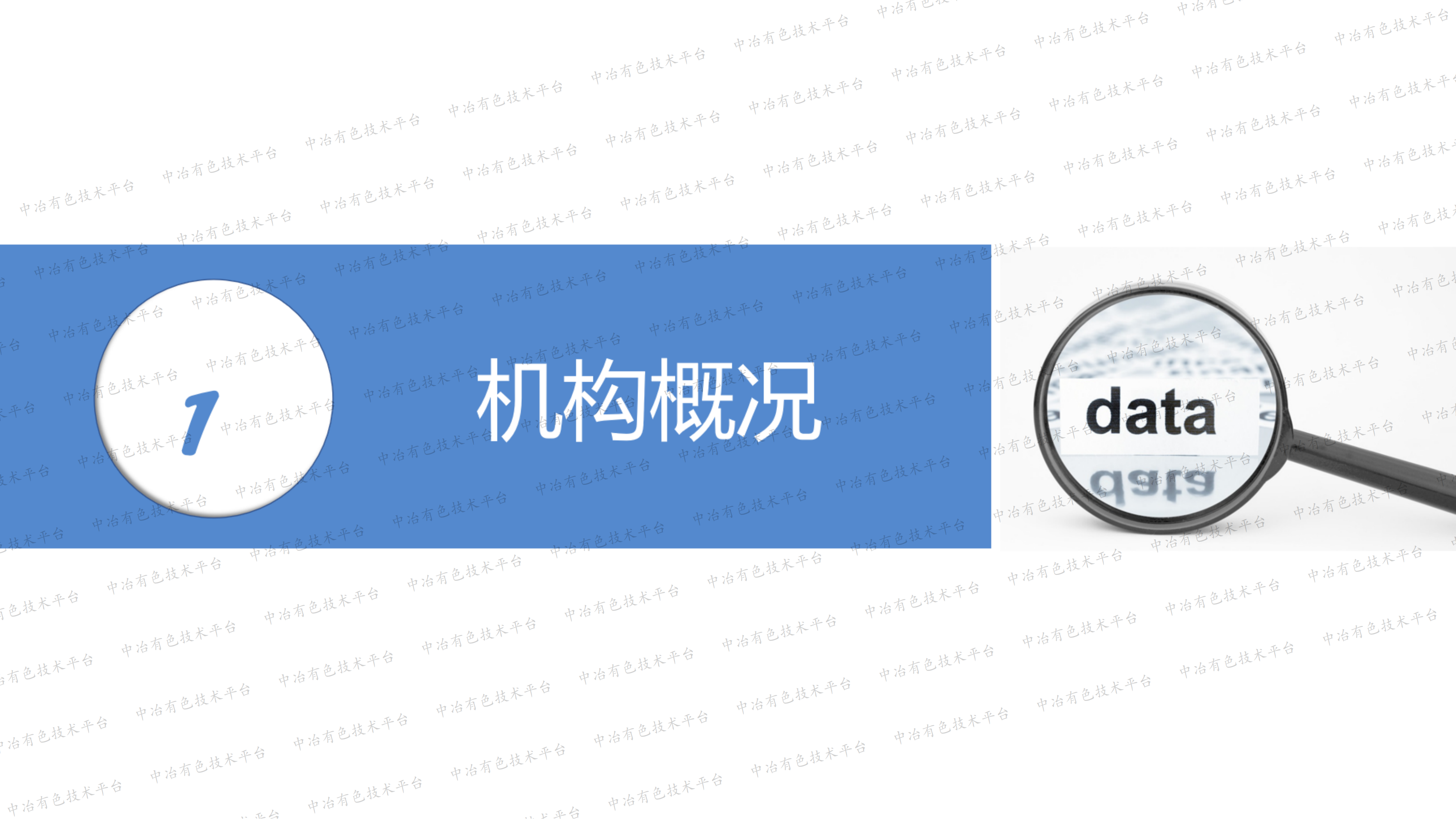 銅產業鏈信息資源國家基礎條件保障