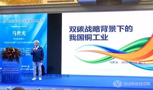 雙碳戰略背景下的我國銅工業(yè)——馬世光