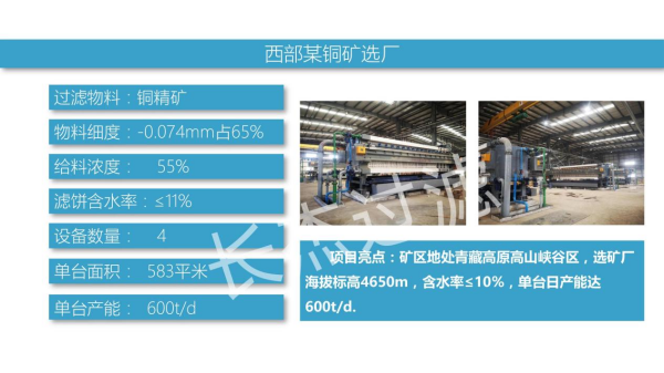 西部某銅礦選廠(chǎng)