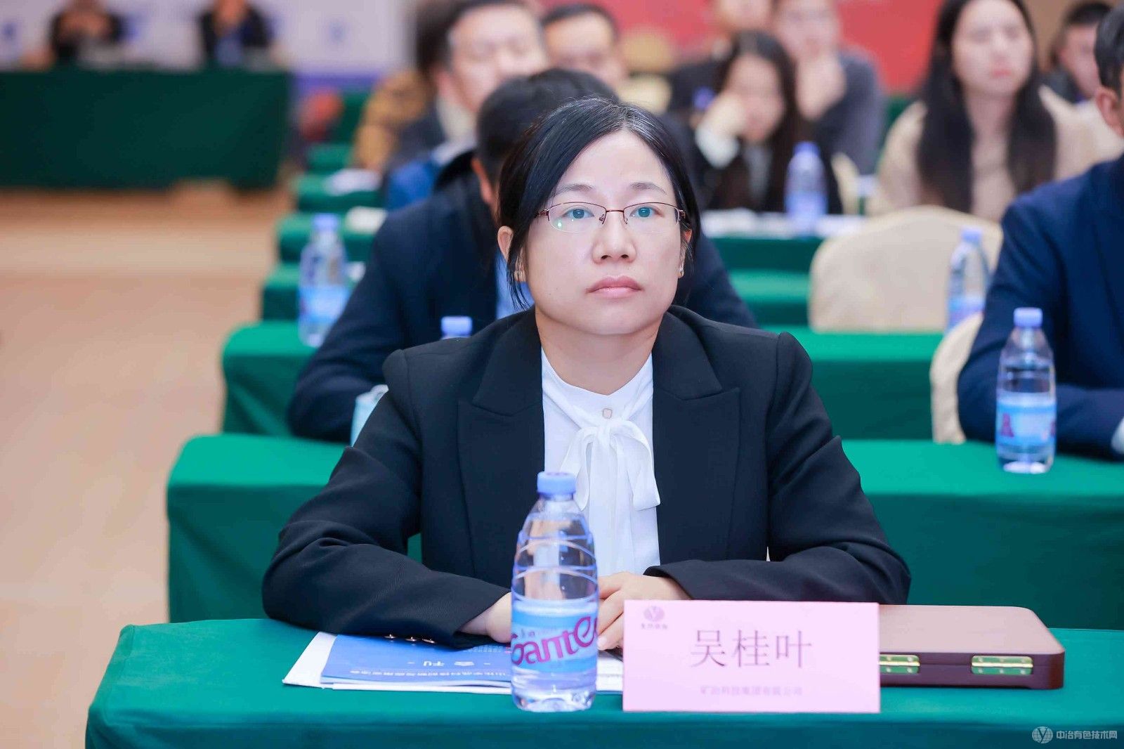 2024礦山化學(xué)品科技創(chuàng  )新與應用交流會(huì )現場(chǎng)照片