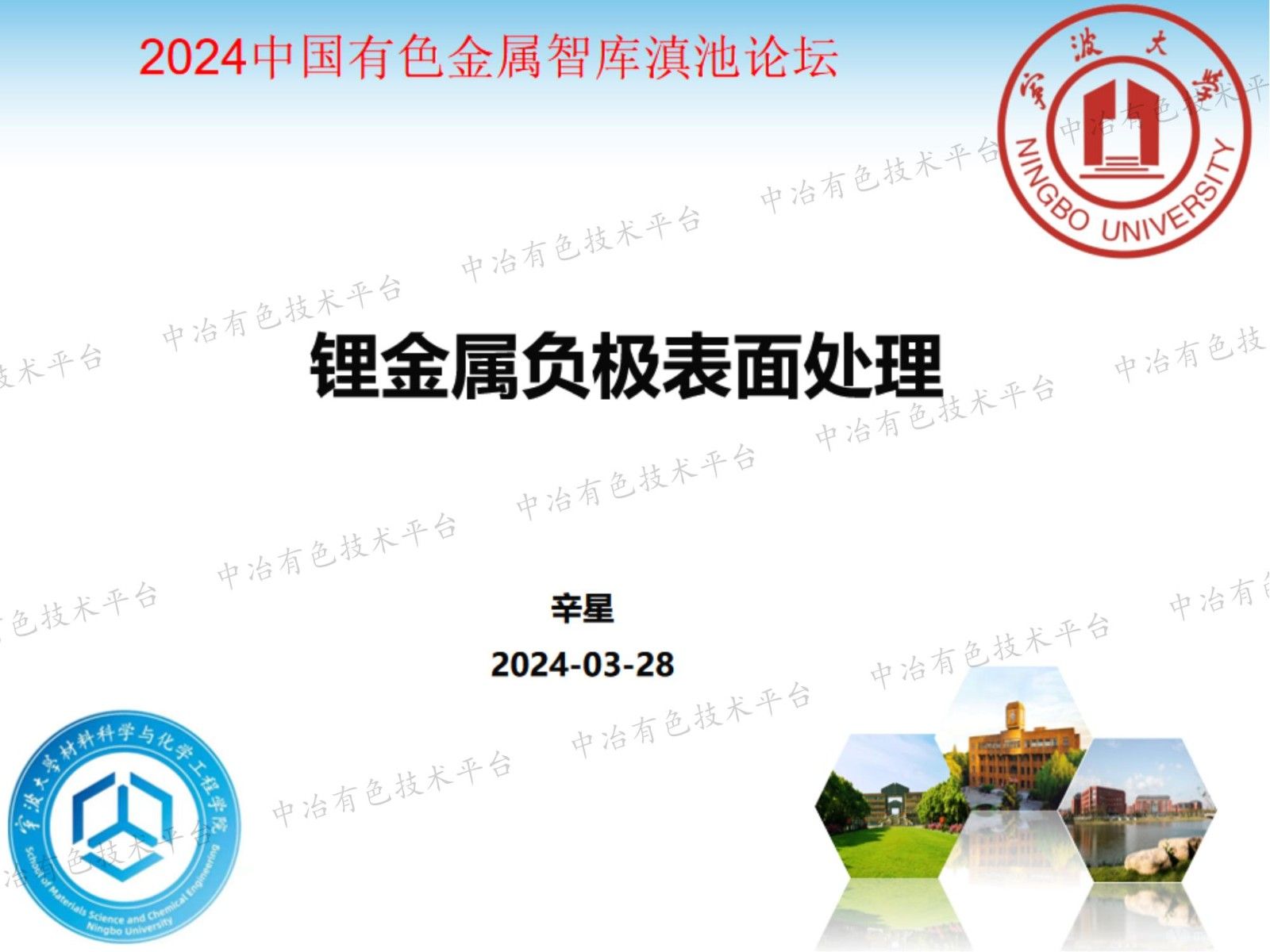 鋰金屬負極表面處理