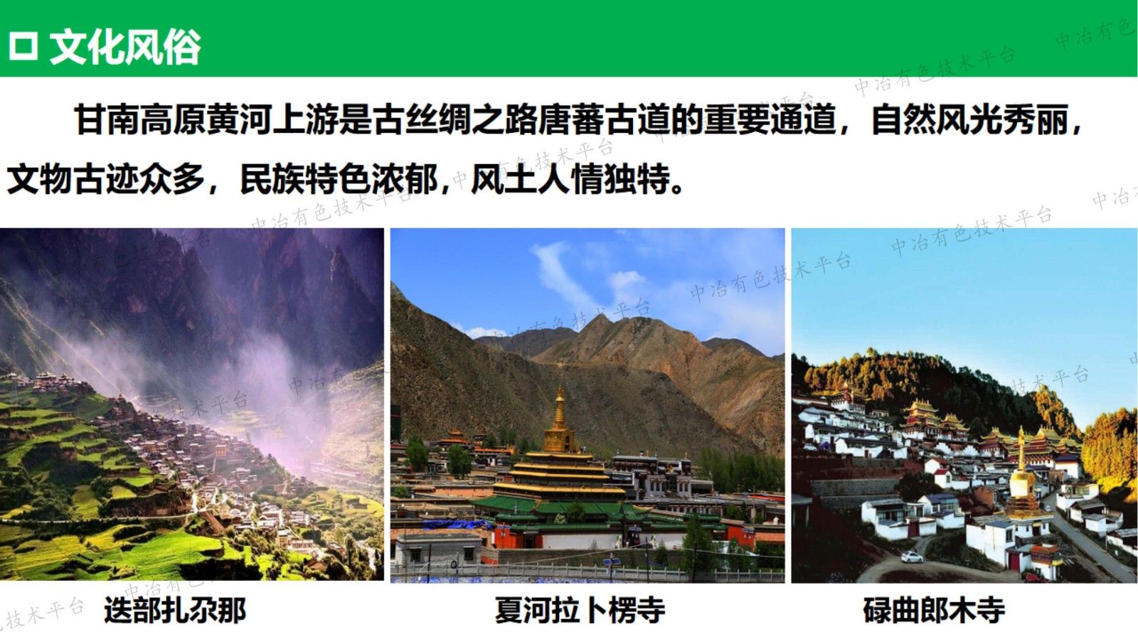 礦區重金屬污染的生物修復技術(shù)與示范