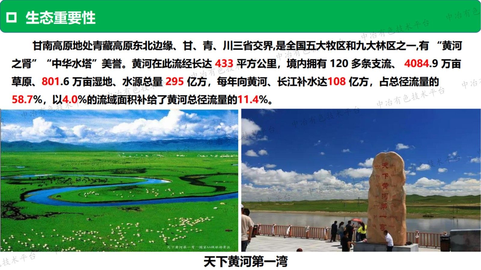礦區重金屬污染的生物修復技術(shù)與示范