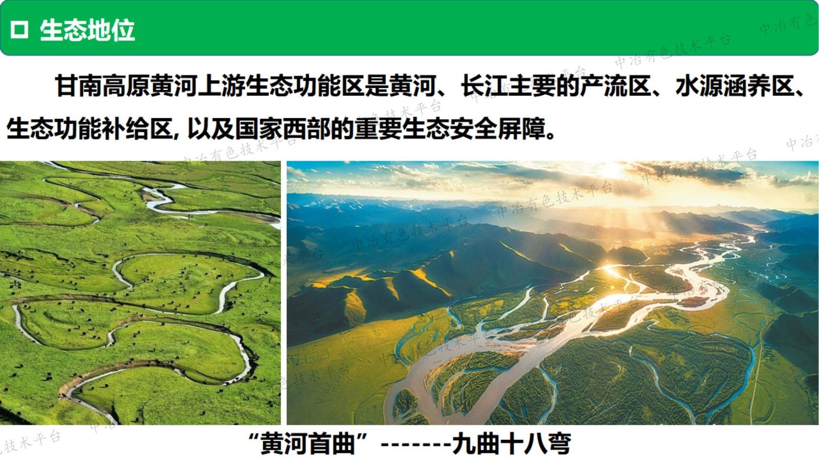 礦區重金屬污染的生物修復技術(shù)與示范