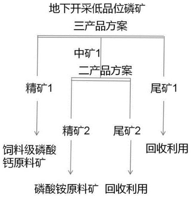 基于光電選礦預分選地下開(kāi)采低品位磷礦的系統及其方法